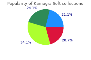 purchase kamagra soft 100mg